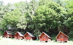 Cabanute Si Camping Dracula