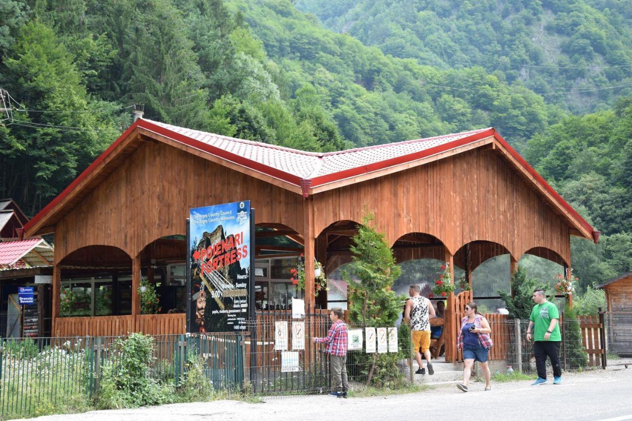 Hotel Cabanute Si Camping Dracula Capatineni-Paminteni Exterior foto